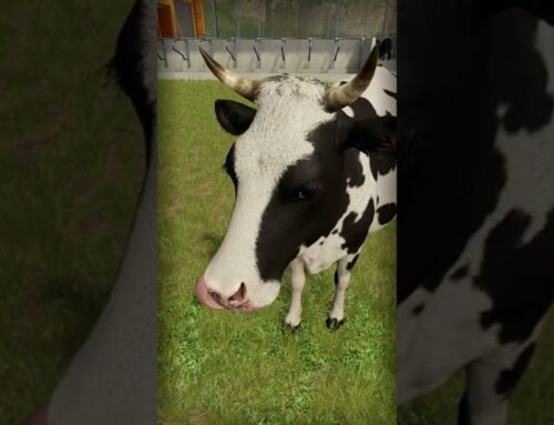 Live Cow vs Cow in Farming 22 | Sounds of Cow and Little Cow! Bazylland on the Farm #shorts