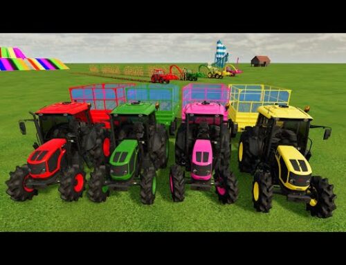 Mahindra of Colors That is, Tractors Colors | Trailers on Platforms and Corn Colors | FS22 otherwise
