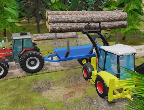 This chicken house had to be replaced | Building new home – New instead of the old chicken house