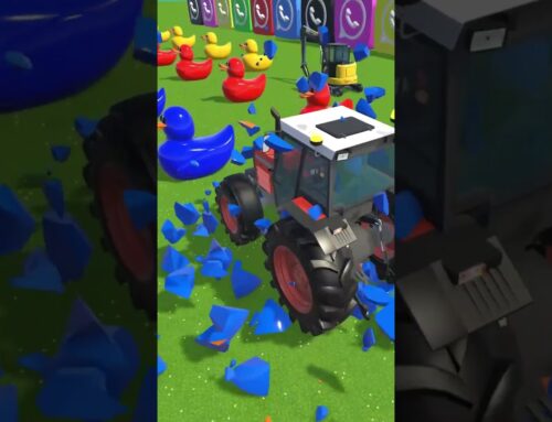 Mini Excavator, Tractor or Monster Truck VS. Ducks